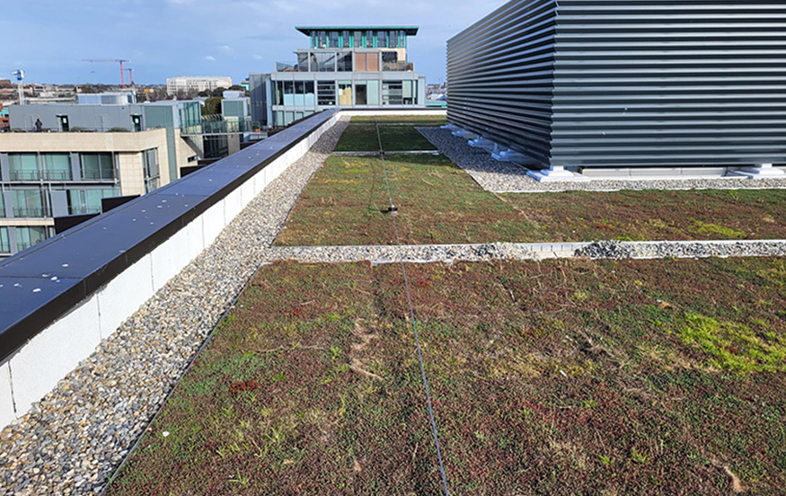 Mastic-asphalt-for-green-roofs